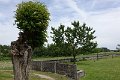DSC02951-2