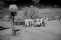 DSC02977
