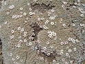 DSC04060
