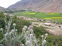 DSCN3523