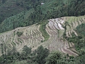 KIF_1331