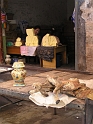 visites296