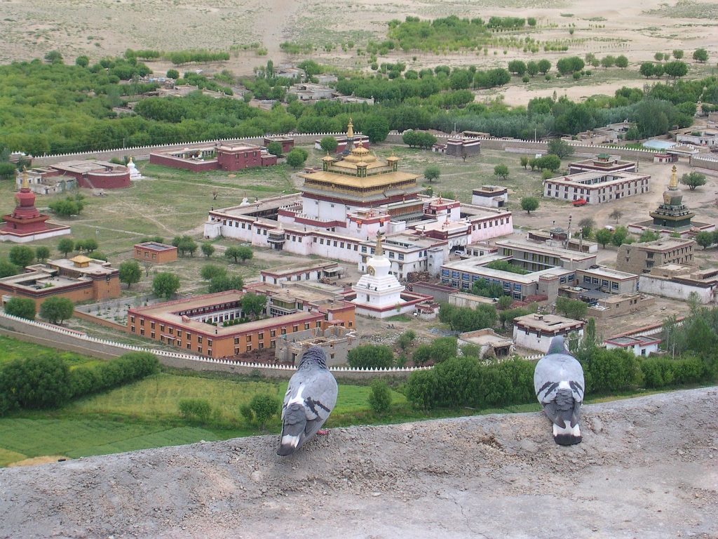 DSCN3757.JPG