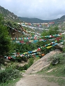 DSCN3847