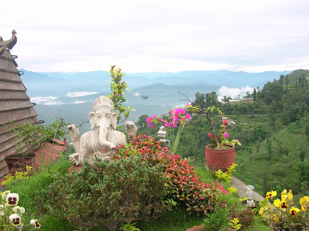 DSCN3481.JPG