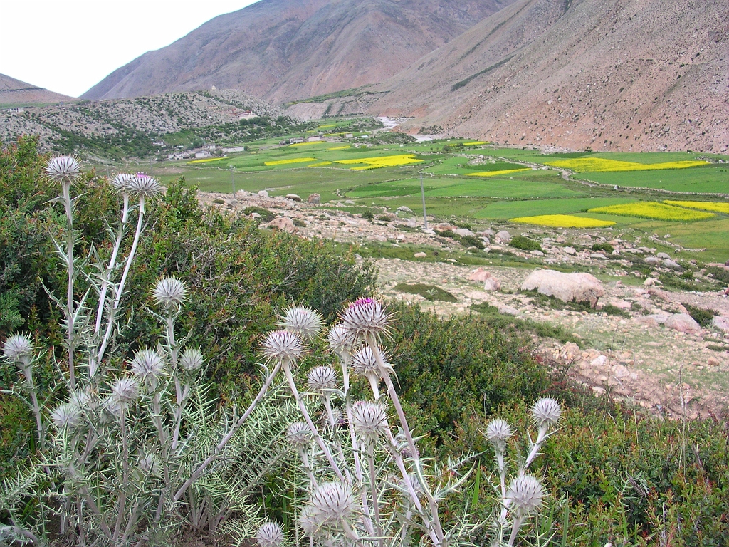DSCN3523.JPG