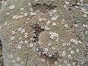 DSC04060