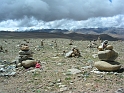 DSCN3548