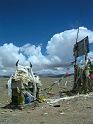 DSCN3550