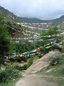DSCN3847