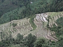 KIF_1331